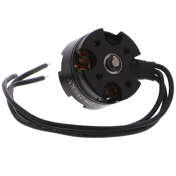 Brushless Motor